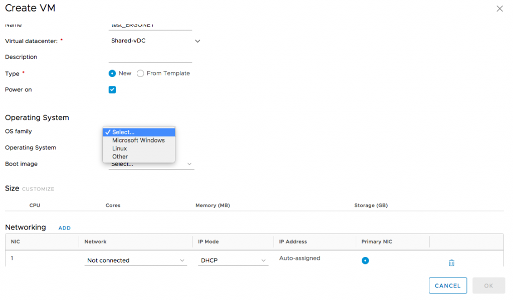 VMware_director_Ergonet_virtual_machine_3