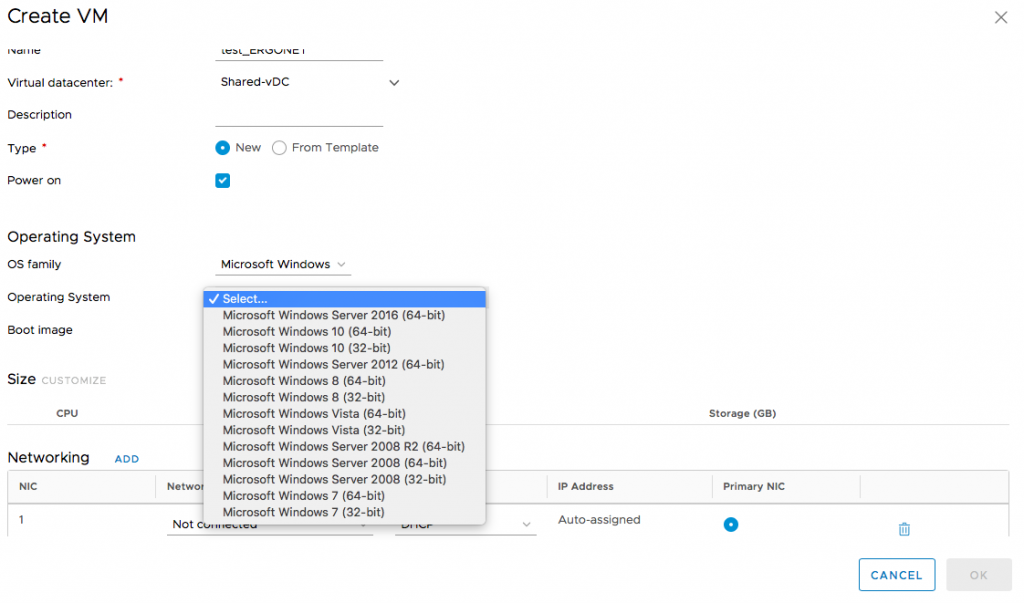 VMware_Ergonet_virtual_machine_Microsoft_1