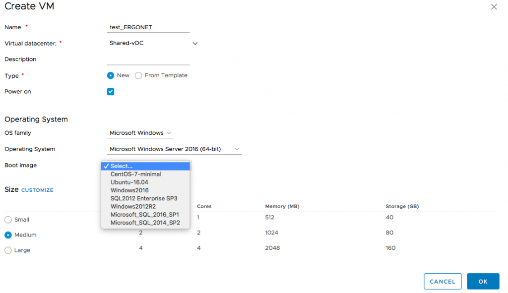 VMware_Ergonet_virtual_machine_Microsoft_2